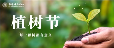 每一棵树都有(yǒu)意义——3.12植树节 栽种生命的新(xīn)绿 点亮自然的微光